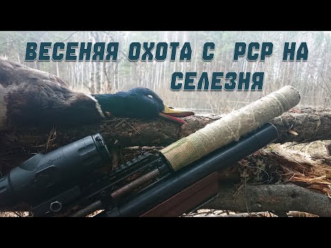 Видео: Весенняя охота на утку с PCP пневматикой. Готовлю похлебку из дичи на костре.