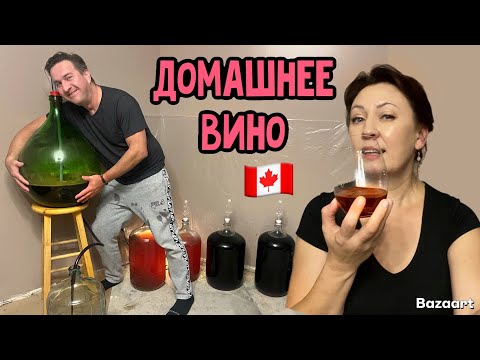 Видео: Жизнь в Канадской деревне// готовим улья в зиму//тестируем домашнее вино