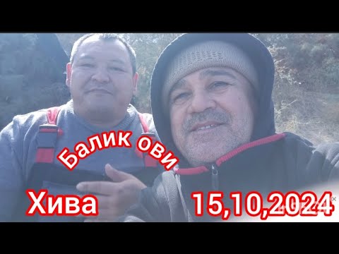 Видео: 15, 10,2024 хива каллектр балик ови. Baliq ovi xorazm.