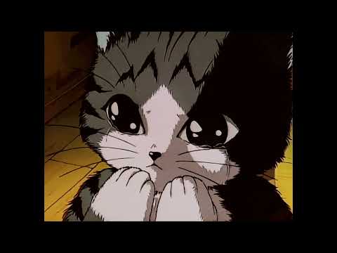 Видео: Heronwater - Мяу (slowed + reverb)