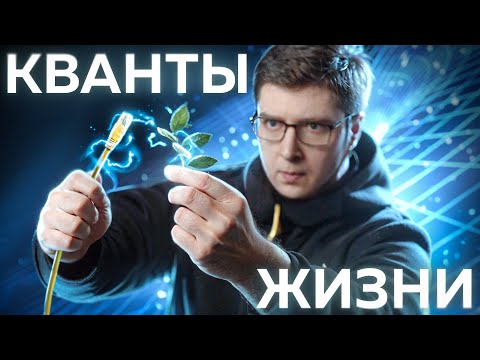 Видео: Невидимая связь всего живого | Безумные научные идеи #5