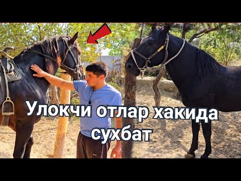 Видео: ОБУНА БУЛИНГ