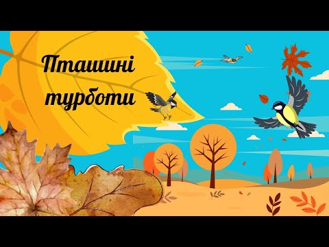 Видео: Пташині турботи. Мистецтво  3 клас