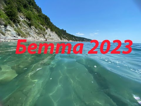 Видео: Бетта 2023 август