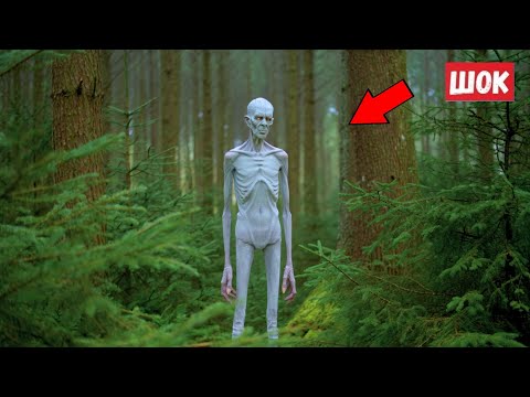 Видео: Правда о мальчике оказалась страшнее любых догадок. Случайная находка в лесу шокировала следователей