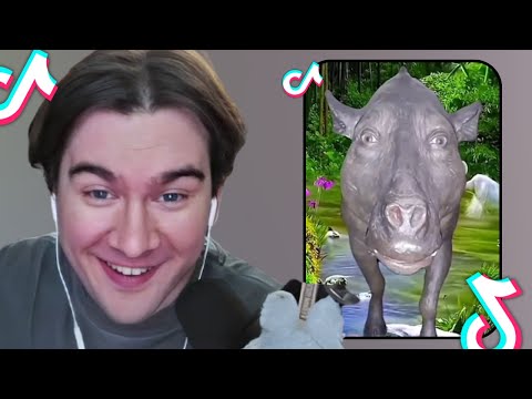 Видео: БРАТИШКИН СМОТРИТ: ТИКТОК #85
