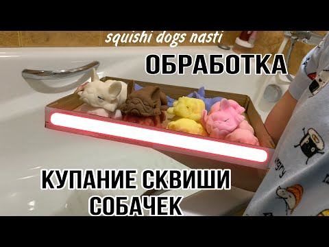 Видео: Купание сквиши собачек/обработка🐶💕🤟🏻