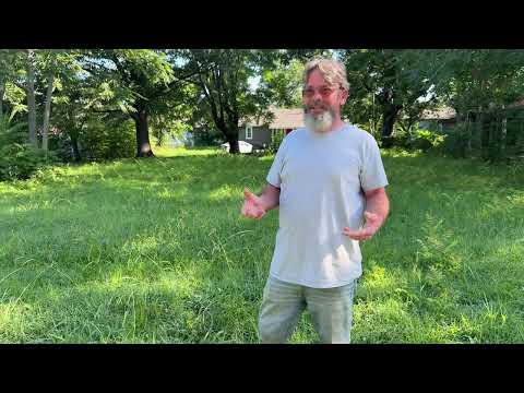 Видео: Не могу поверить, что это реальность! Этот газон не был таким диким, как история о нём.