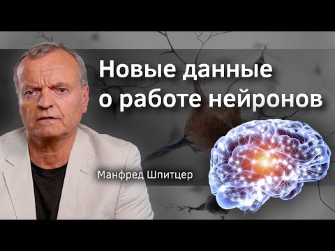 Видео: Новые данные о работе нейронов. Профессор Шпитцер. Verba Mayr