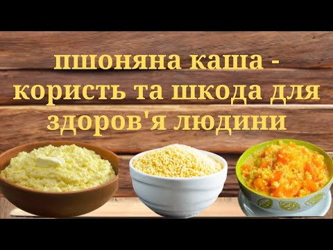 Видео: ПШОНЯНА КАША: КОРИСТЬ І ШКОДА ДЛЯ ЗДОРОВ'Я ЛЮДИНИ