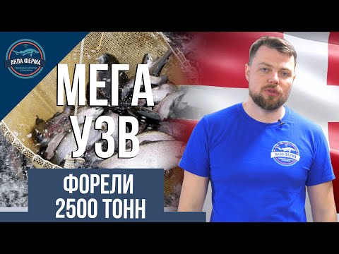 Видео: Обзор мега УЗВ форель на 2500 тонн