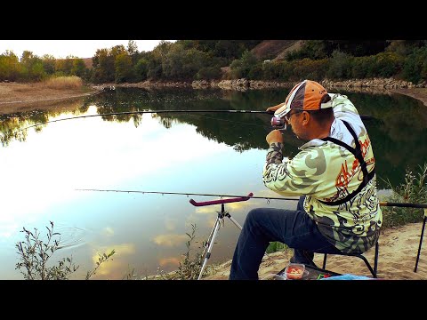 Видео: Как и на что поймать усача. Марена на донку осенью. Усач ловится на паденку и опарыша.