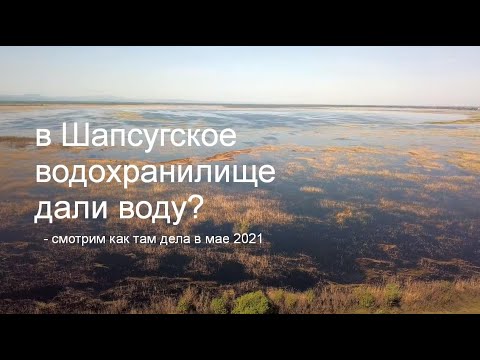 Видео: в Шапсугское водохранилище , вернее то, что на его месте сейчас - неужели дали воду?