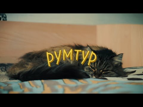 Видео: румтур [sony a6000 & Гелиос 44-2]