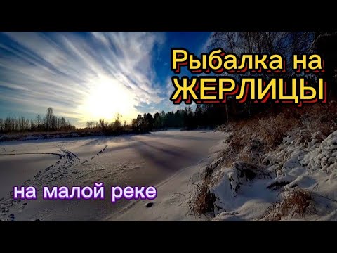 Видео: Жерлицы. Открыл зимний сезон 2024-2025 г.