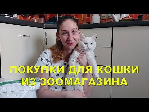 Видео: ПОКУПКИ ДЛЯ КОШКИ ИЗ ЗООМАГАЗИНА | НОВИНКИ ДЛЯ КОШЕК