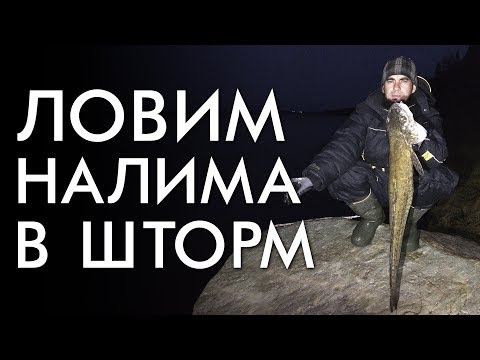 Видео: ЛОВИМ НАЛИМА В ШТОРМ НА ПРОДОЛЬНИКИ
