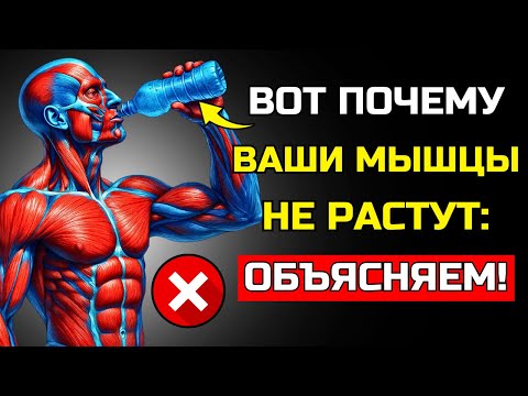 Видео: 10 ВЕЩЕЙ КОТОРЫЕ ВЫ ДЕЛАЕТЕ И ВЫБРАСЫВАЮТ ВАШУ ТРЕНИРОВКУ В МУСОРКУ