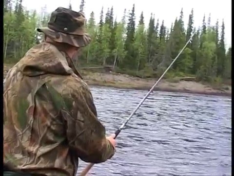 Видео: РЫБОЛОВНЫЕ ПУТЕШЕСТВИЯ. Таёжные речки.Сёмга.Хариус