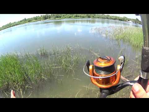 Видео: Хитрая китайская удочка 4 на реке(ДР)
