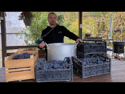 Видео: Правильний червоний сухарь вдома, або як не запороть ВИНО!