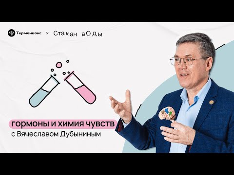 Видео: Хаос и связь. Вячеслав Дубынин о гормонах  // Подкаст «Стакан воды»
