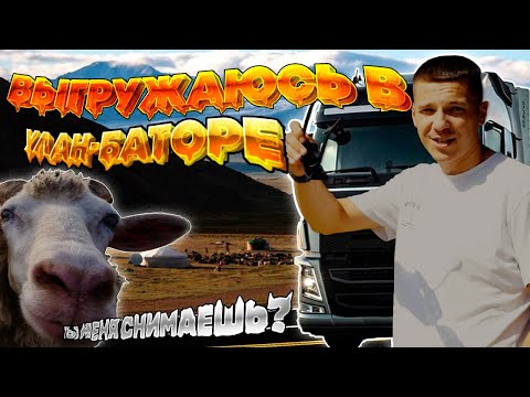 Видео: Беспредел на дорогах Монголии. Заехал на фуре в Аэропорт. Животный БУМ