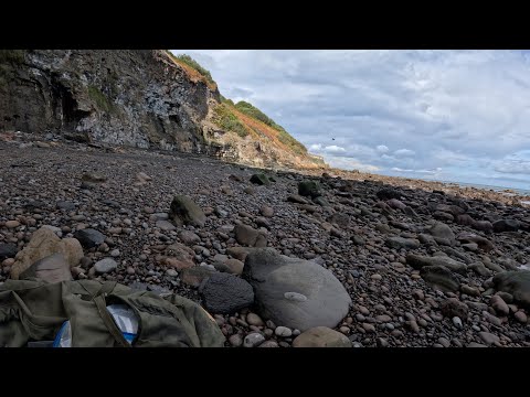 Видео: Охота за ископаемыми в песке, сентябрь 2025 г.