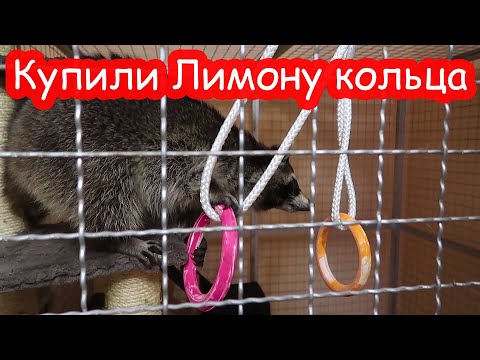 Видео: Классные покупки в зоомагазине