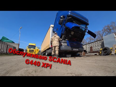 Видео: Меняю масло и фильтра в scania G440 XPI