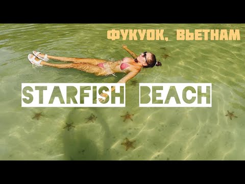 Видео: ВЬЕТНАМ, ФУКУОК 2024. ПЛЯЖ СО ЗВЕЗДАМИ. STARFISH BEACH. ОНИ ЖИВЫЕ!