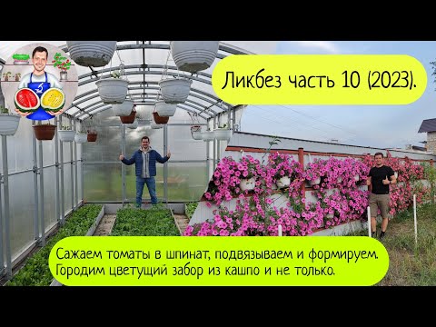Видео: Ликбез часть 10 (2023).