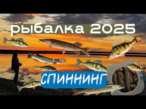 Видео: РЫБАЛКА 2025 СПИННИНГ | РЕКА АЛДАН
