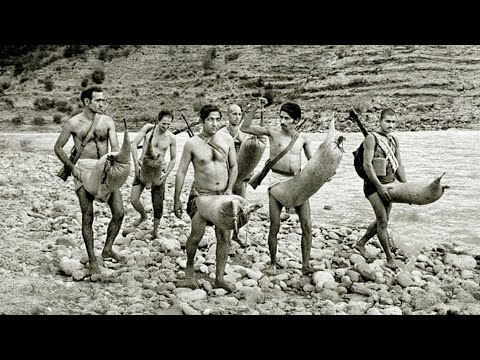 Видео: Такое Увидишь Раз в Жизни! Невероятные Видео, Снятые на Камеру! Топ 100