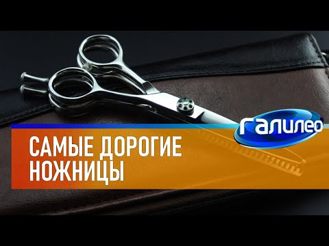 Видео: Галилео ✂ Самые дорогие ножницы