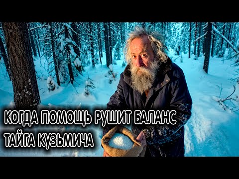 Видео: Когда помощь рушит баланс. Тайга Кузьмича