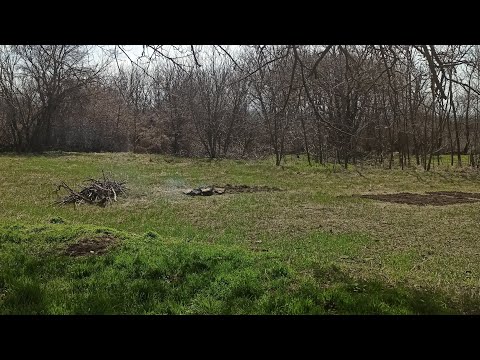 Видео: Расчищаю участок,пилю деревья.Результат работ ,в конце ролика)
