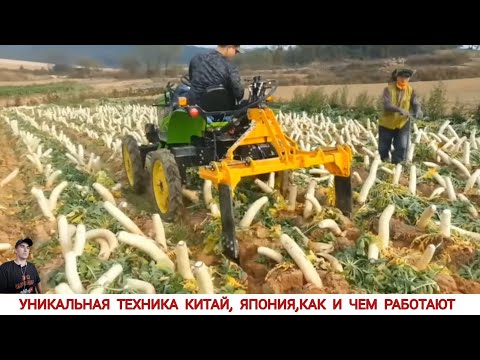 Видео: ЯПОНСКАЯ МОЩЬ! КИТАЙ, ЯПОНИЯ КАК И ЧЕМ РАБОТАЮТ / AMAZING CHINA, HOW AND WHAT THEY WORK, COMPILATION