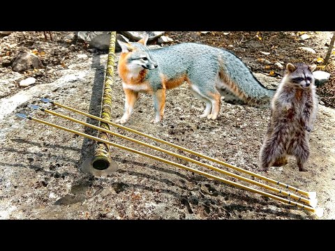 Видео: Самодельная духовая трубка для охоты на вредителей