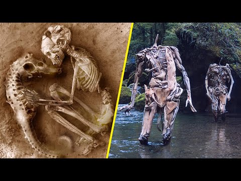 Видео: Интересные Находки Найденные Под Землей