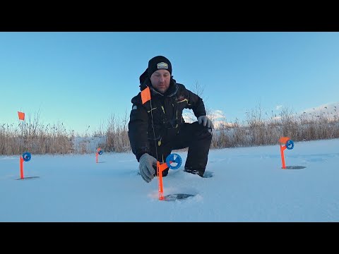 Видео: ОФИГЕЛ ОТ ТАКОЙ РЫБАЛКИ. Давно не ловил столько рыбы. Снасти не выдержали напора этой щуки