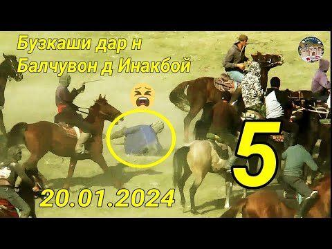 Видео: Бузкаши дар н Балчувон д Инакбой Кисми 5 .20.01.2024