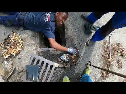 Видео: Kempinger 372.  Jaime  только начинает и находит драгоценности в старой вонючей грязи.