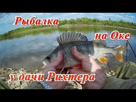 Видео: Рыбалка на Оке у дачи Рихтера. Ручейник.