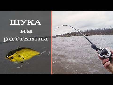 Видео: Ловля щуки на раттлины: просто и эффективно