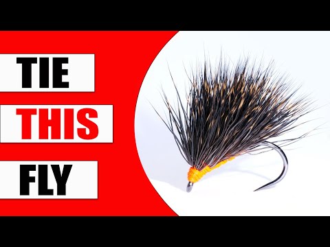 Видео: Мадейра Хог