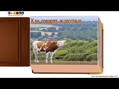 Видео: Как говорят животные (звуки животных) - развивающее видео для детей (1)