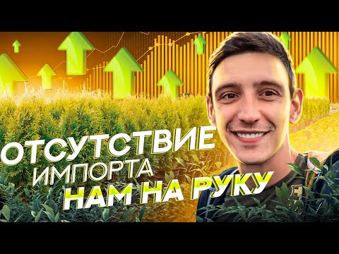 Видео: В три смены! Контейнеры для растений, сетка для корней