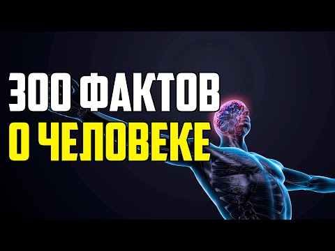 Видео: 300 САМЫХ ИНТЕРЕСНЫХ ФАКТОВ О ЧЕЛОВЕКЕ