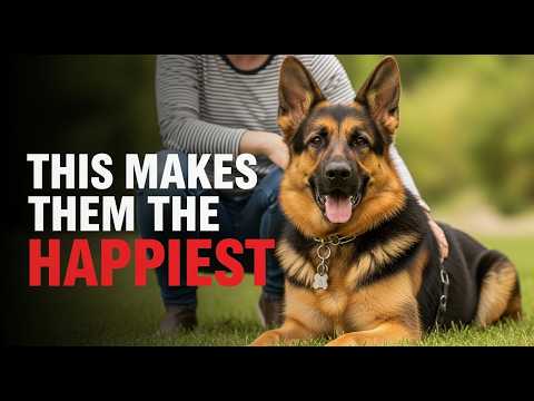 Видео: Как сделать вашу немецкую овчарку по-настоящему счастливой 🐶❤️ (10 проверенных способов!)